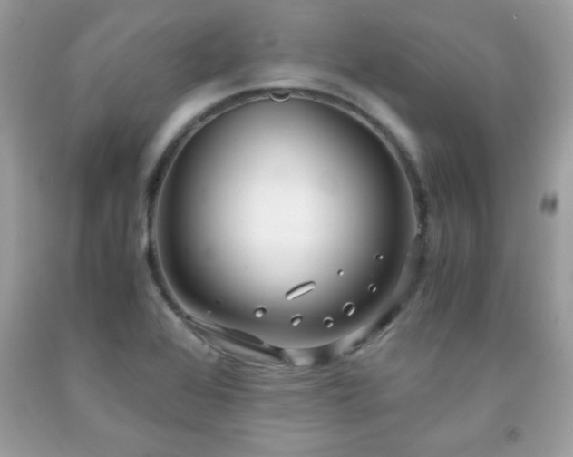 X0000091921368200709121530