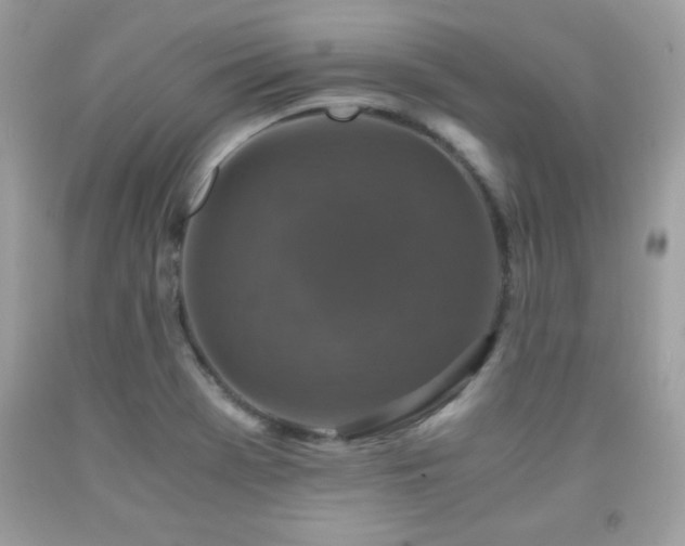 X0000091921369200709121530
