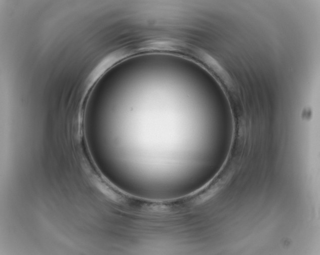 X0000091921370200709121530