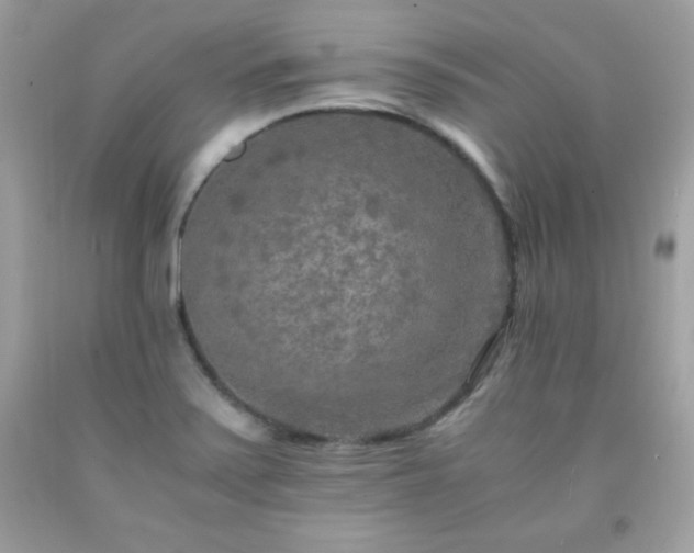 X0000091921371200709121530