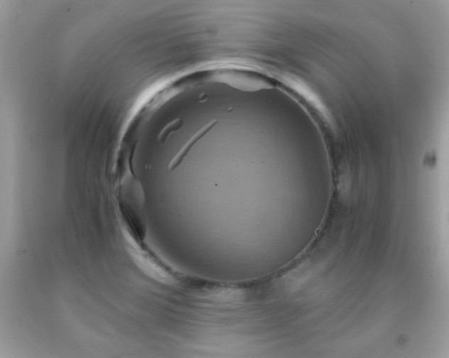 X0000091921372200709121530
