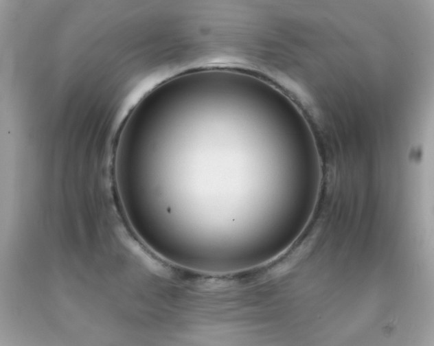 X0000091921374200709121530