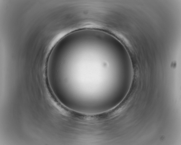 X0000091921375200709121530
