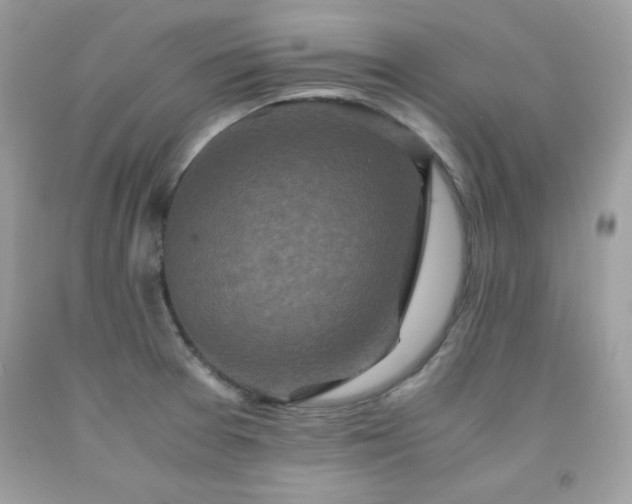 X0000091921377200709121530