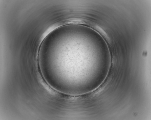 X0000091921378200709121530