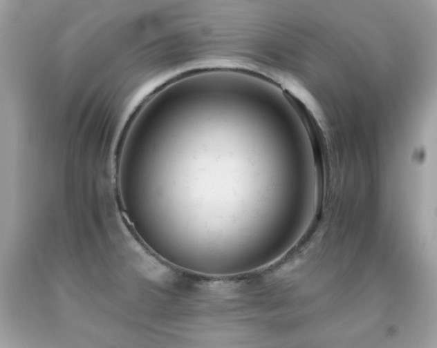 X0000091921380200709121530