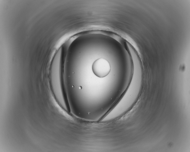 X0000091921381200709121530