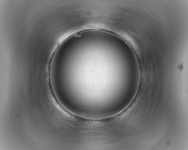 X0000091921382200709121530