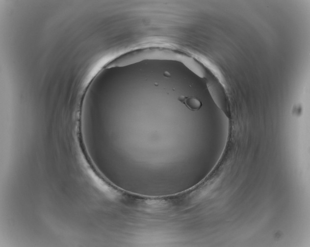 X0000091921383200709121530