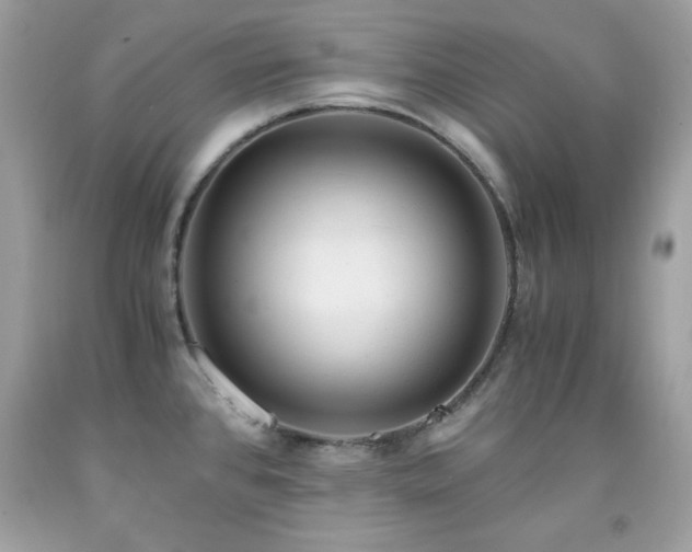 X0000091921384200709121530