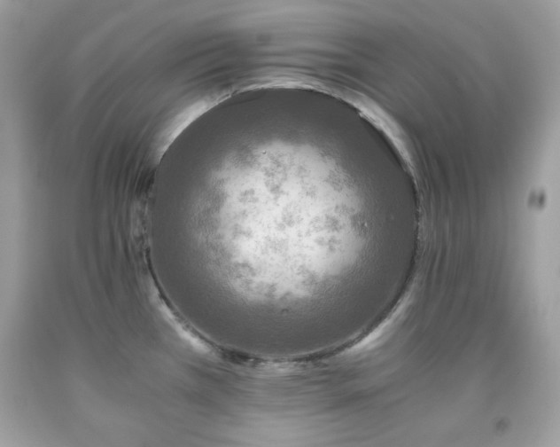 X0000091921385200709121530