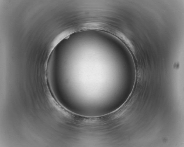 X0000091921386200709121530