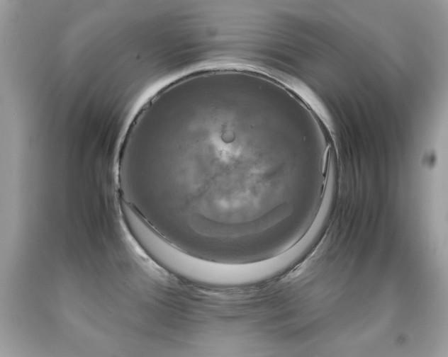X0000091921388200709121530