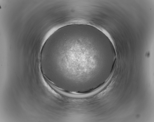 X0000091921389200709121530