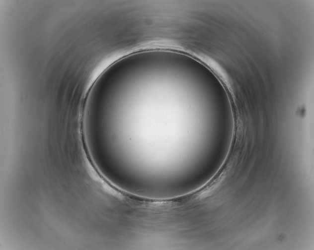 X0000091921390200709121530