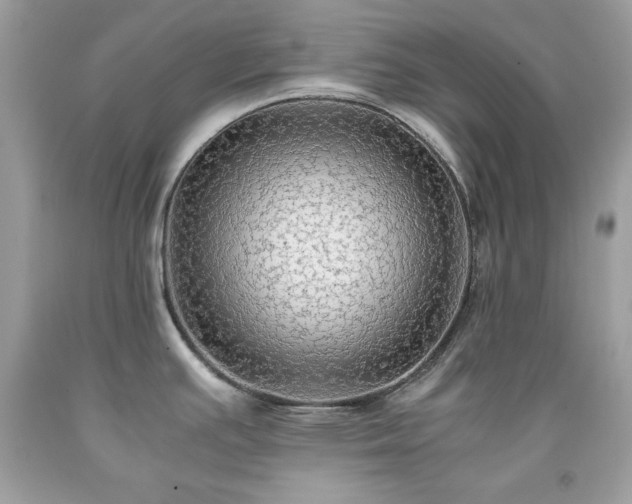 X0000091921391200709121530