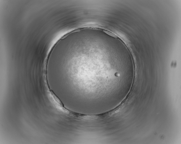X0000091921392200709121530