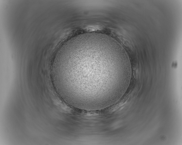 X0000091921393200709121529