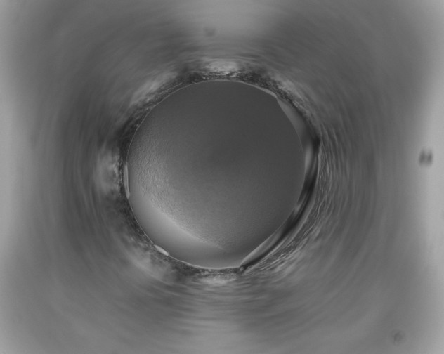 X0000091921394200709121529