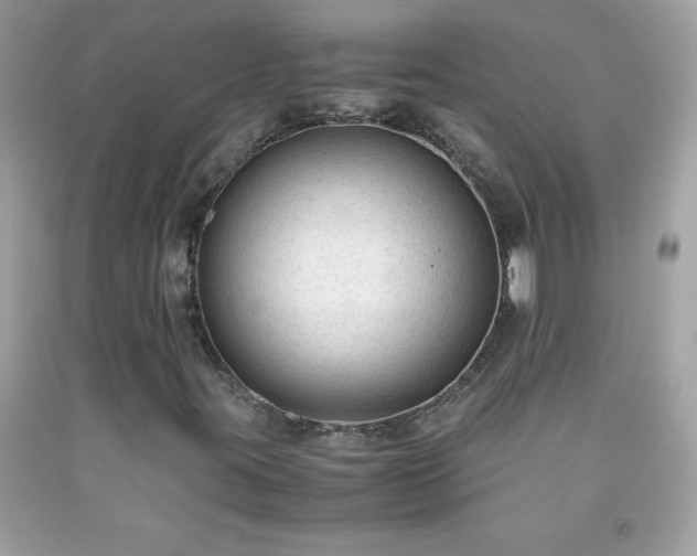 X0000091921395200709121529