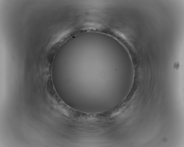X0000091921399200709121529