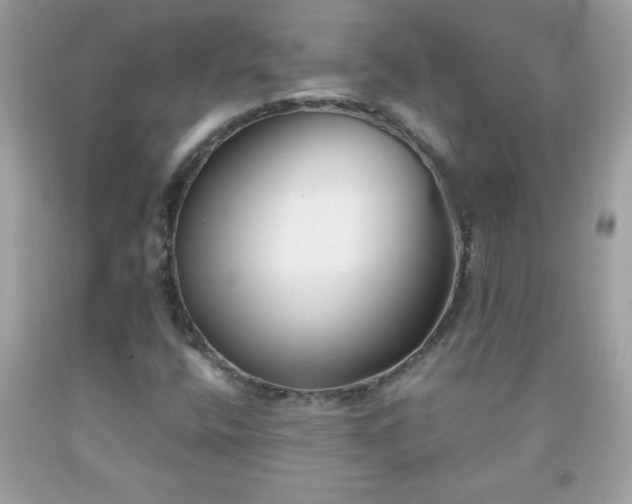 X0000091921400200709121529