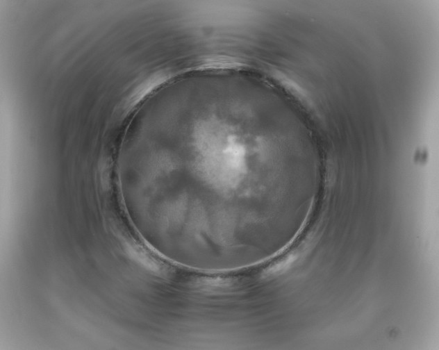 X0000091921401200709121529