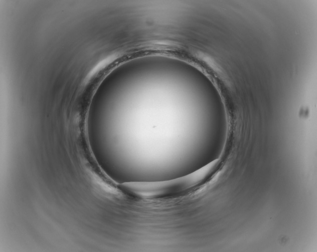 X0000091921402200709121529