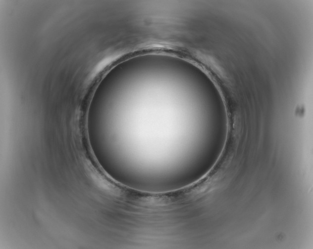 X0000091921404200709121529