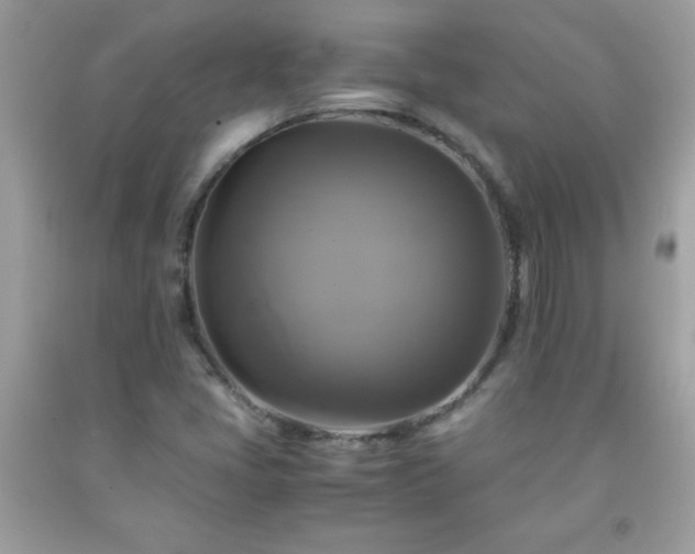 X0000091921405200709121529