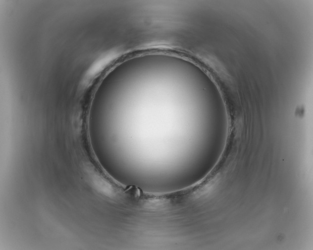 X0000091921406200709121529