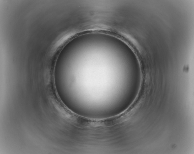 X0000091921407200709121529