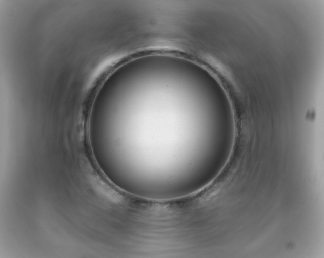 X0000091921408200709121529