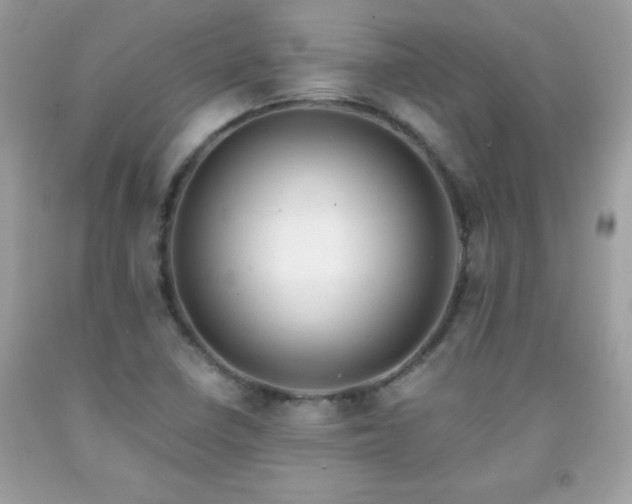 X0000091921410200709121529