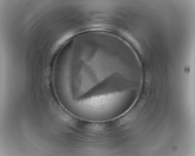 X0000091921411200709121529