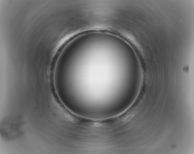 X0000091921412200709121529