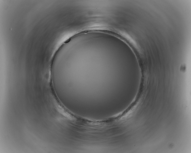 X0000091921413200709121529