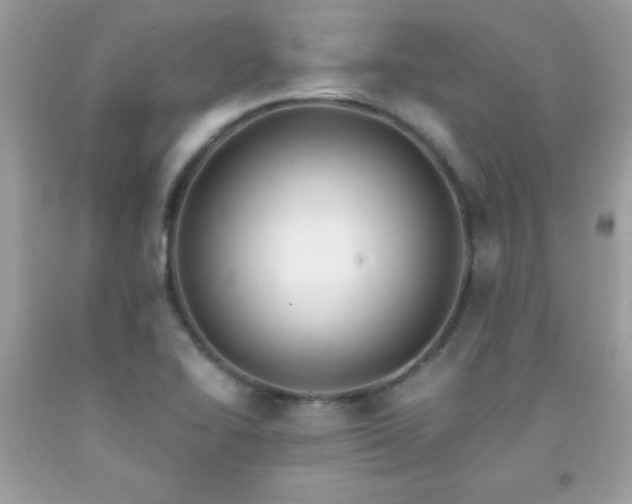 X0000091921414200709121529