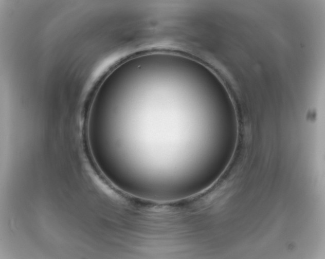 X0000091921416200709121529