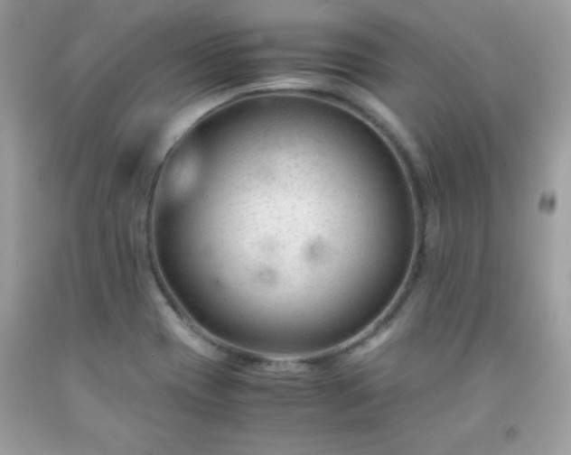 X0000091921417200709121529