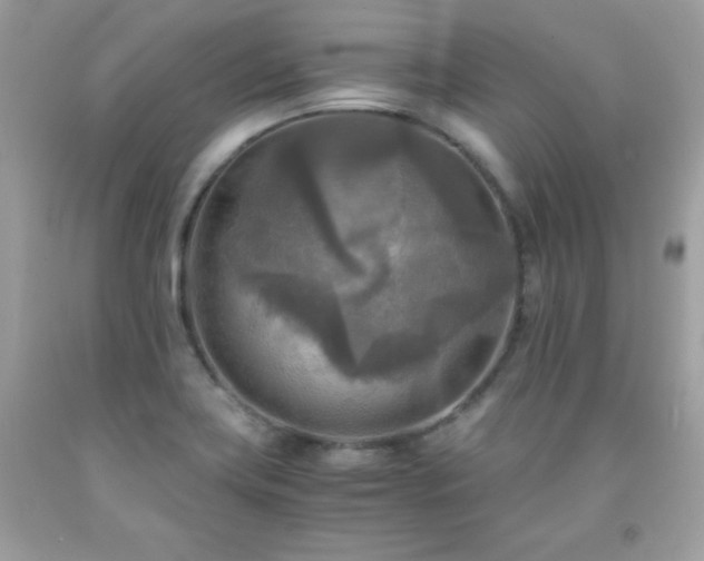 X0000091921419200709121529