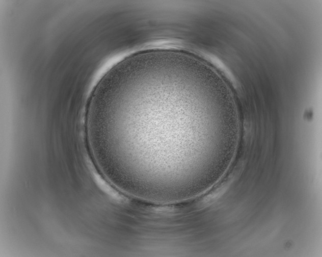 X0000091921421200709121529