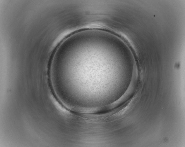 X0000091921422200709121529
