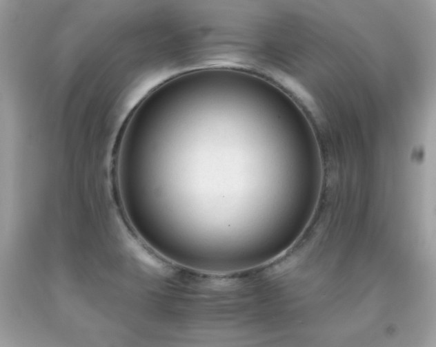 X0000091921423200709121529