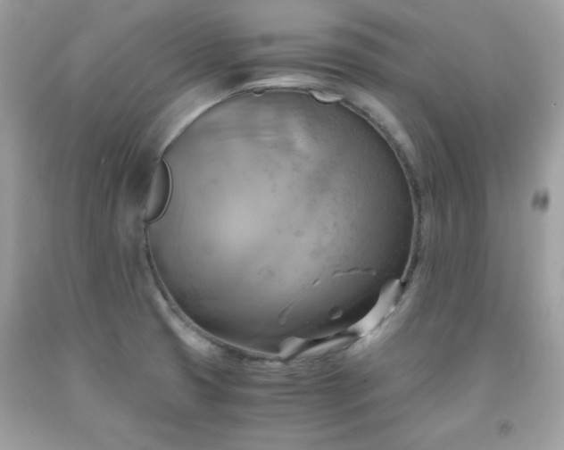 X0000091921425200709121529