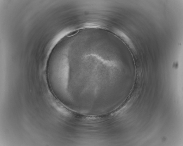 X0000091921427200709121529