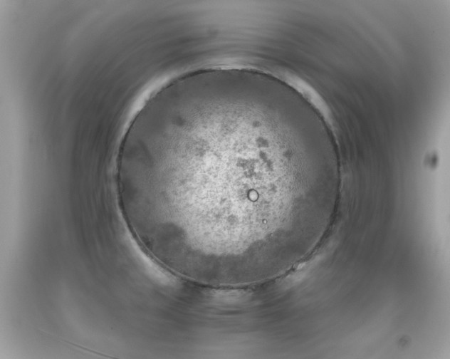 X0000091921429200709121529