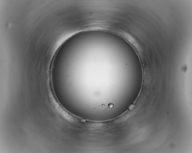 X0000091921431200709121530