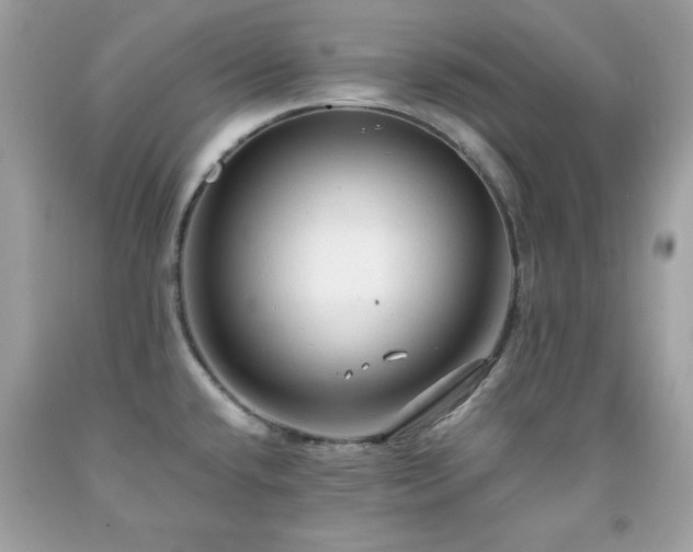 X0000091921432200709121530
