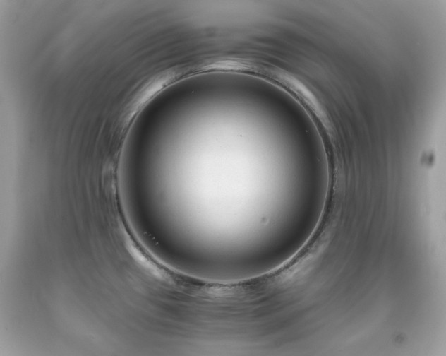 X0000091921433200709121530